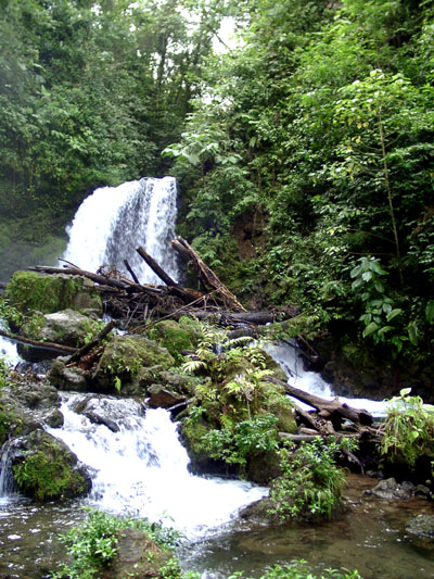 Waterfall at Observatory Lodge