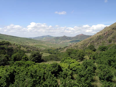 View from the kitchen