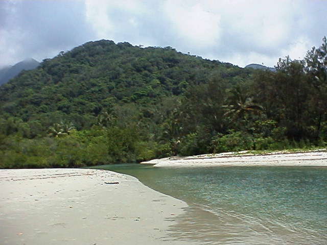 Cape Tribulation