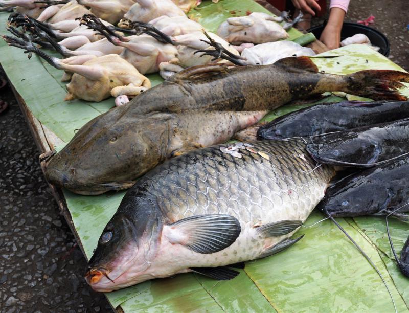 Luang Prabang Morning Market
