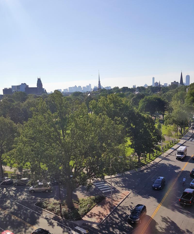 View over Cambridge Common from the Sheraton.