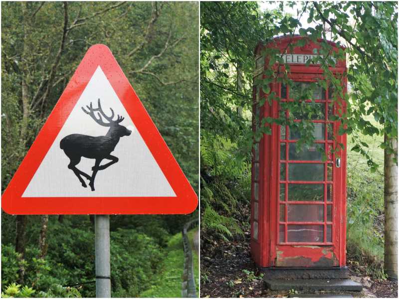 Along the road to the train station in Glenfinnan.