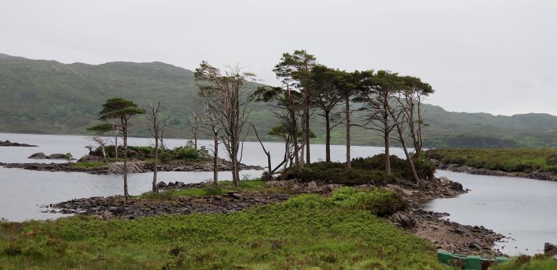 Scenes from the NC500