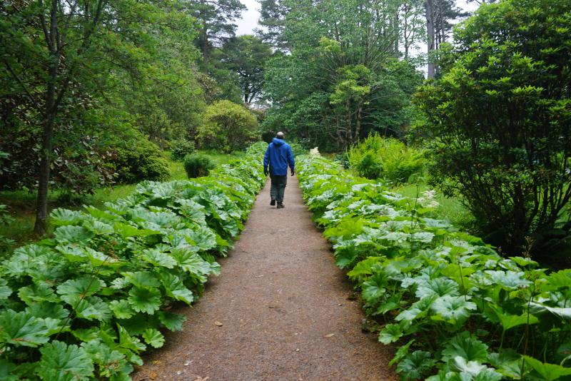 Inverewe Gardens