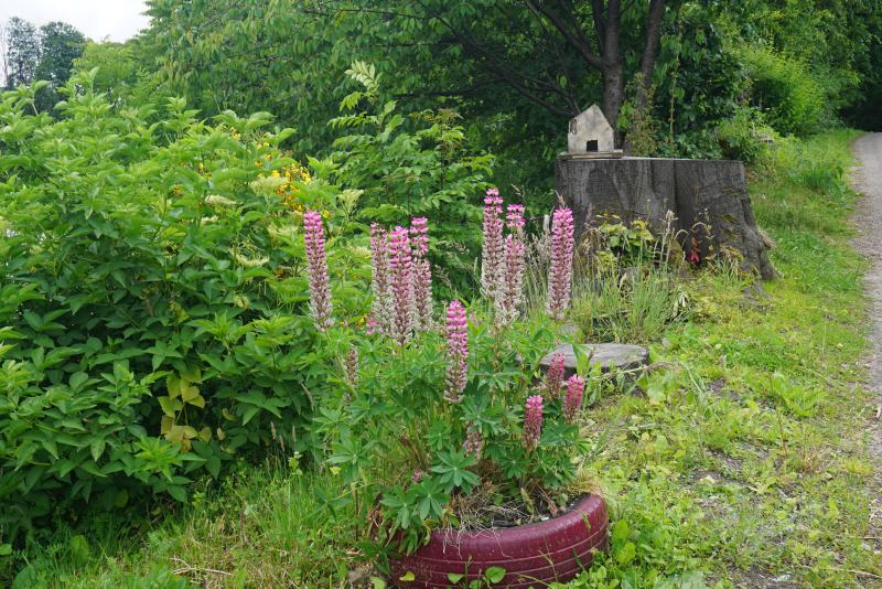Sights along the Dufftown Distillery Walk
