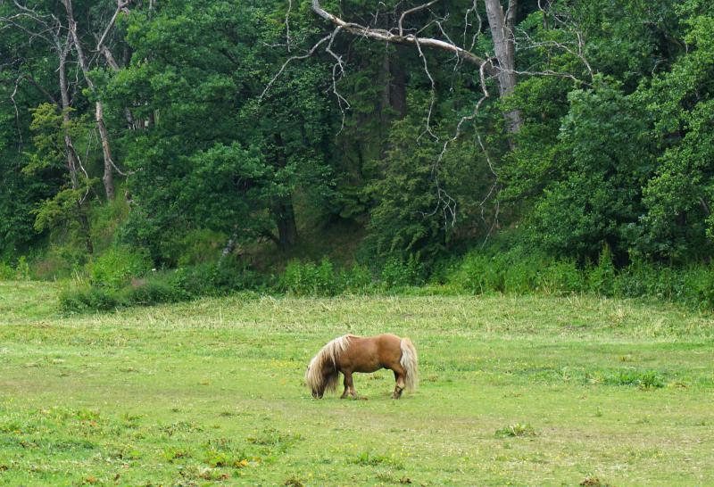 Sights along the Dufftown Distillery Walk